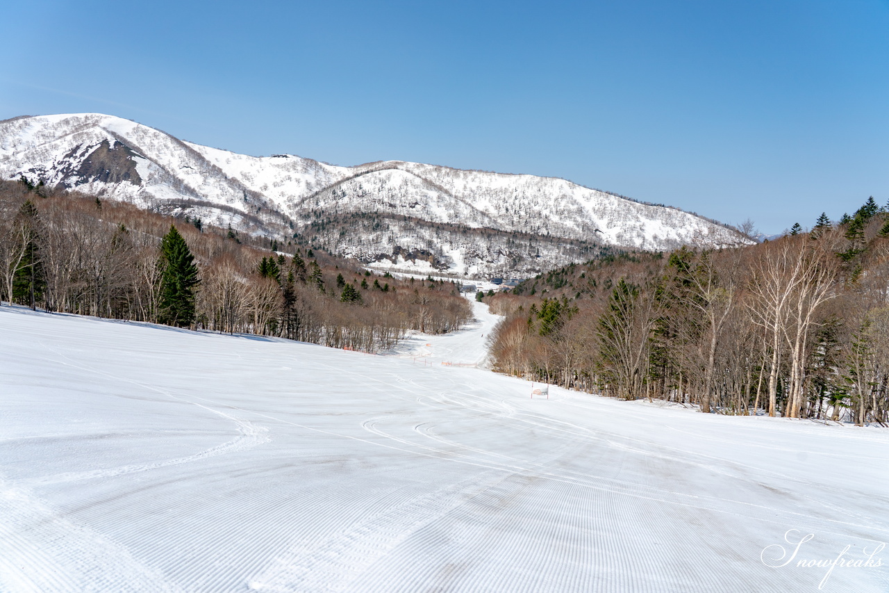 キロロリゾート｜ポカポカ陽気で絶好の春スキー日和♪こんな日は、みんなで思いっきり春雪を満喫しましょう！